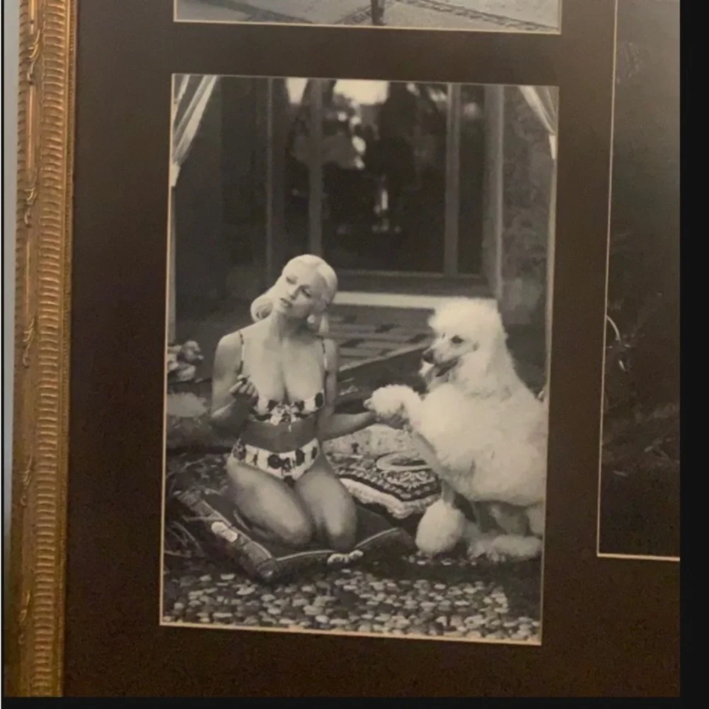 Original Framed Wall Art